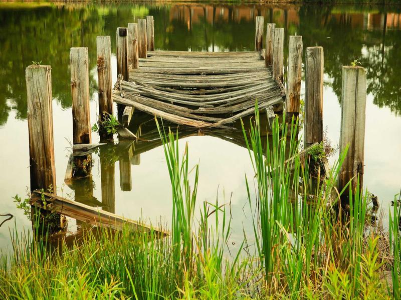 feedback screenshot 6