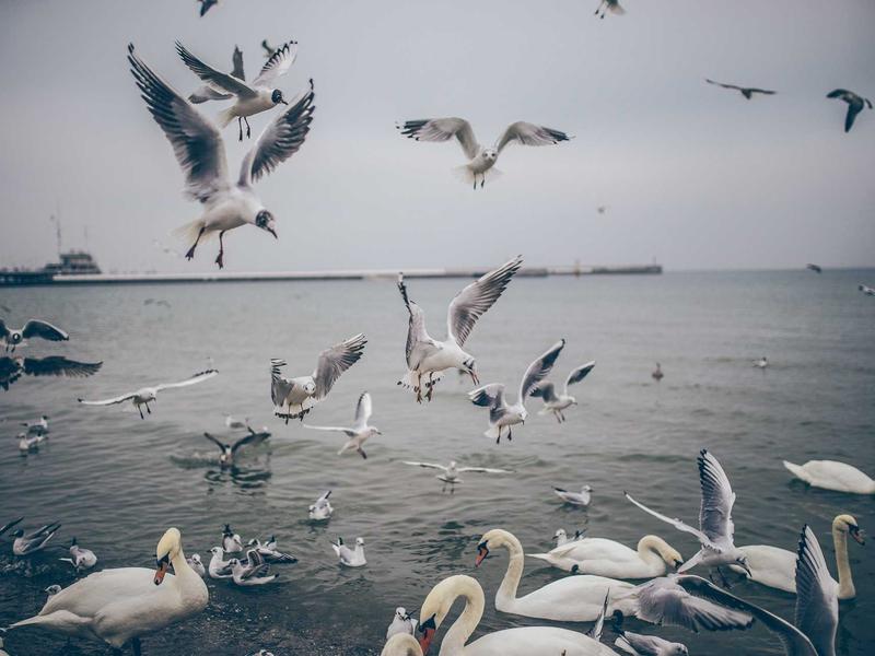 sudoku training mode screenshot 6